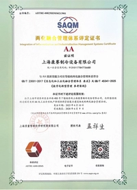 Certificación en Integración de la Gestión de la Informatización y la Industrialización