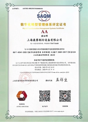 Certificación del Sistema de Gestión de la Transformación Digital